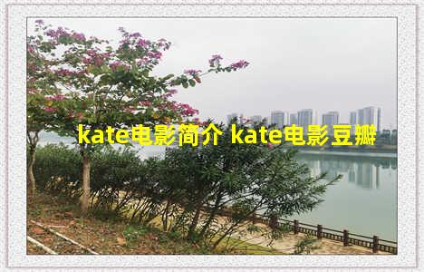 kate电影简介 kate电影豆瓣